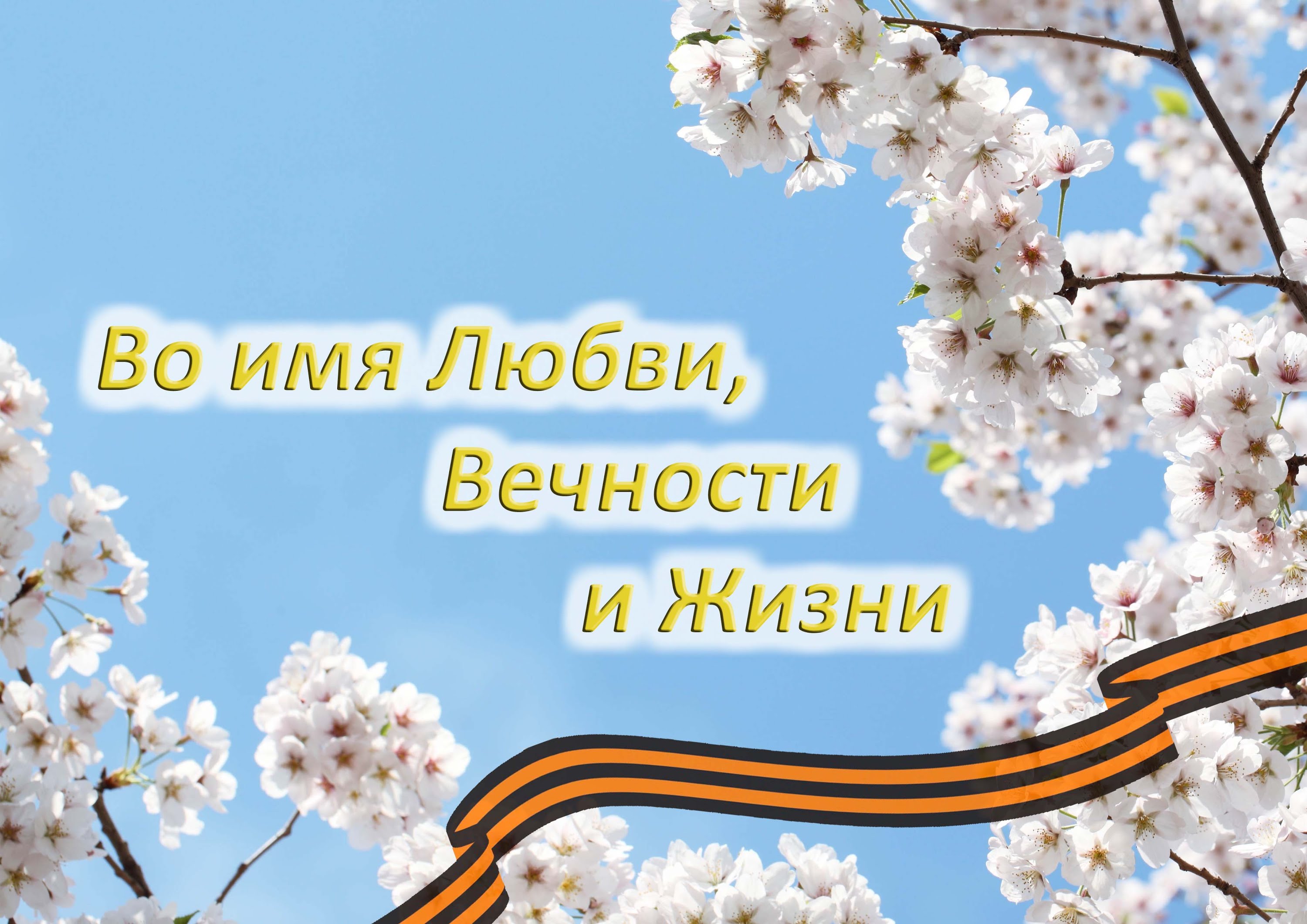 Во имя. Во имя любви вечности и жизни. Жизнь во имя любви. Вечность с именем. Посади свое дерево во имя любви.